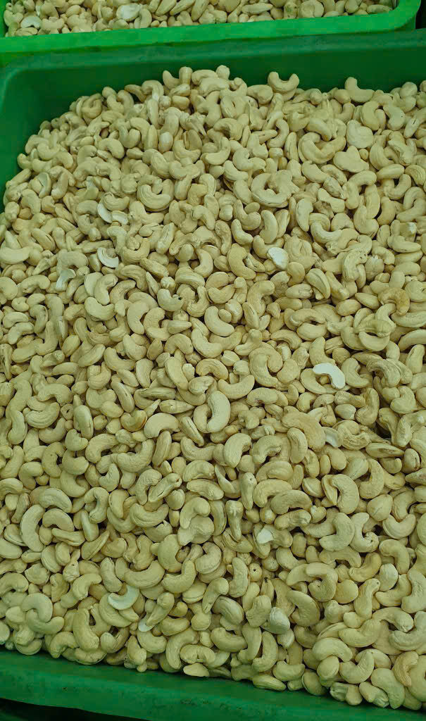 Hạt Điều MyLand