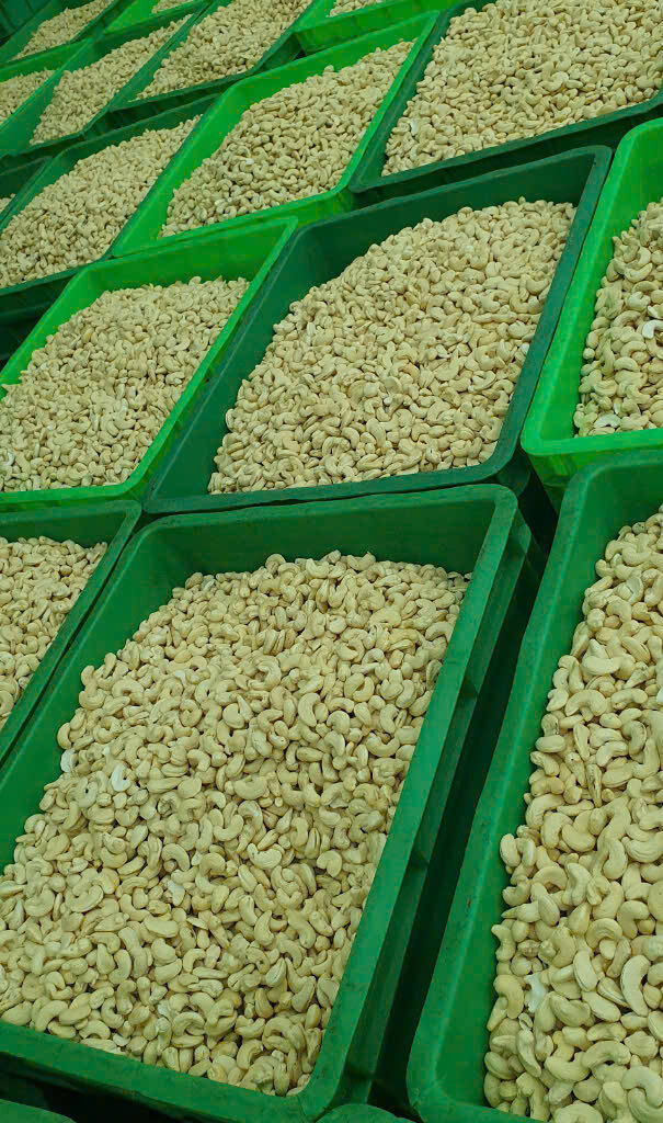 Hạt Điều MyLand